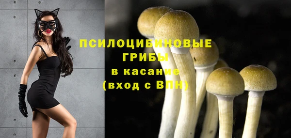 mix Новозыбков
