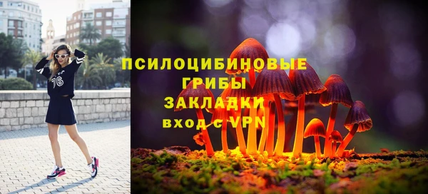 скорость Бутурлиновка