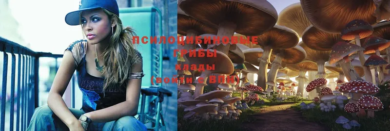 Галлюциногенные грибы Magic Shrooms  гидра ссылки  Владимир  даркнет сайт 