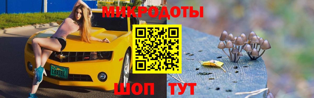 Галлюциногенные грибы Psilocybe  Вход с VPN  Владимир 