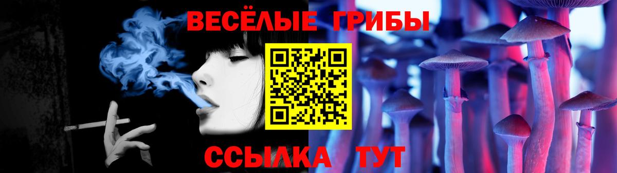 Галлюциногенные грибы GOLDEN TEACHER  Владимир 